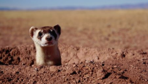 captura_de_pantalla_2016-12-08_a_las_14-06-00